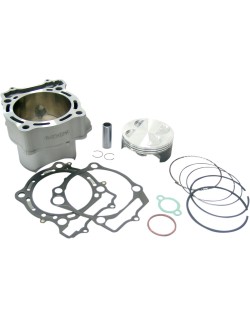 CYLINDER KIT LTR450 100M