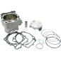 CYLINDER KIT LTR450 100M