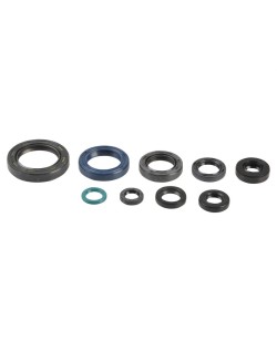 ENGINE OIL SEALS KIT