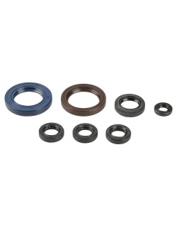 ENGINE OIL SEALS KIT