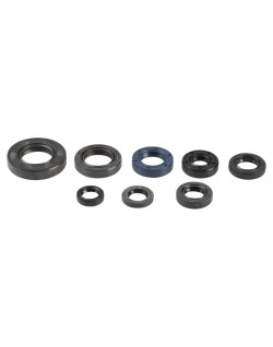 ENGINE OIL SEALS KIT