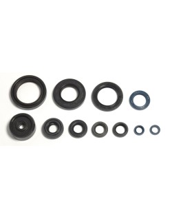ENGINE OIL SEALS KIT
