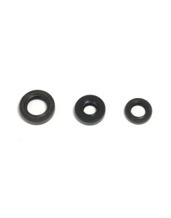 ENGINE OIL SEALS KIT