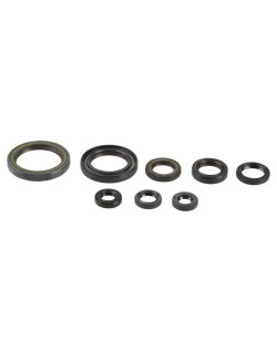 ENGINE OIL SEALS KIT