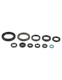 ENGINE OIL SEALS KIT