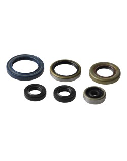 ENGINE OIL SEALS KIT