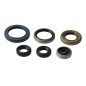 ENGINE OIL SEALS KIT