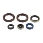 ENGINE OIL SEALS KIT