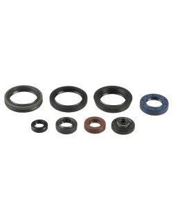 ENGINE OIL SEALS KIT