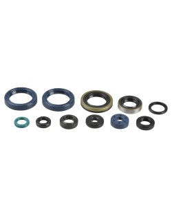 ENGINE OIL SEALS KIT