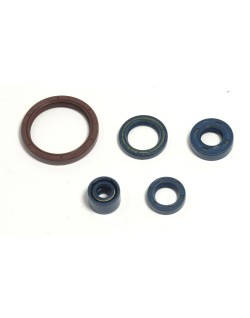 ENGINE OIL SEALS KIT