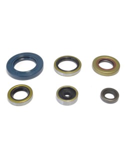 ENGINE OIL SEALS KIT