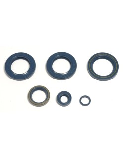 ENGINE OIL SEALS KIT