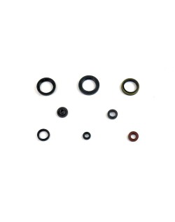 ENGINE OIL SEALS KIT