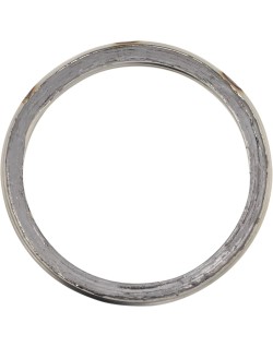 EXHAUST GASKET APR