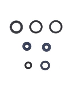 ENGINE OIL SEAL AP