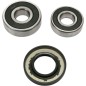 REAR WHL BRG KIT