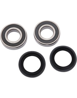 BEARING FRT WHL H13-000