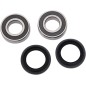 BEARING FRT WHL H13-000