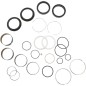 FORK SEAL/BUSH KIT
