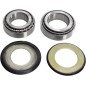 BEARING KTSTRGSTM S12-000