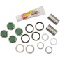 SWINGARM BRG KIT