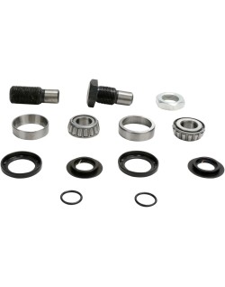BEARING SWINGARM KAW
