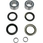 FRT WHEEL BRG KIT HON