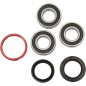 REAR WHL BEARING KIT HON