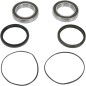 REAR WHEEL BEARING KIT