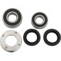 REAR WHEEL BRG KIT