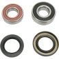 REAR WHEEL BRG KIT