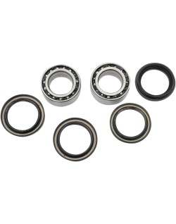 RR WHEEL BRG KIT RINCON