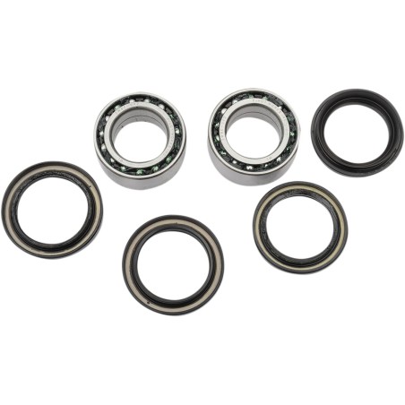 RR WHEEL BRG KIT RINCON