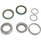 RR WHEEL BRG KIT POL