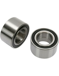 RR WHEEL BRG KIT POL