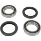 REAR WHEEL BEARING KIT