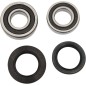 REAR WHL BEARING KIT YAM