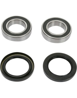 REAR WHEEL BEARING KIT