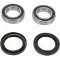 REAR WHEEL BEARING KIT