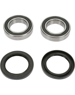 REAR WHEEL BEARING KIT
