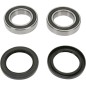 REAR WHEEL BEARING KIT