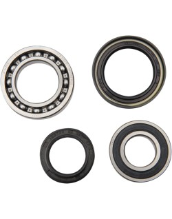 REAR WHEEL BRG KIT YAM