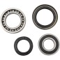 REAR WHEEL BRG KIT YAM