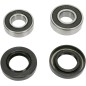 RR WHEEL BRG KIT YAM