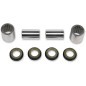 SWINGARM KIT KAWASAKI