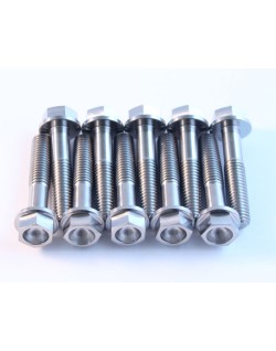 TITANIUM BOLT M8X35 PACK OF 2