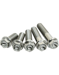 TITANIUM BOLT M8X25 PACK OF 4