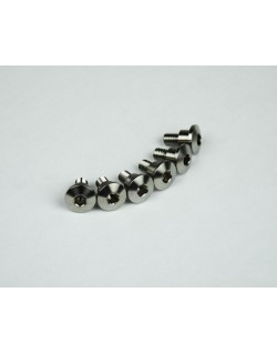 TITANIUM M6X14 PACK OF 6