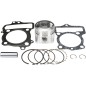 PISTON KIT W/GASKETS